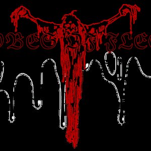 Avatar for Robes of Flesh