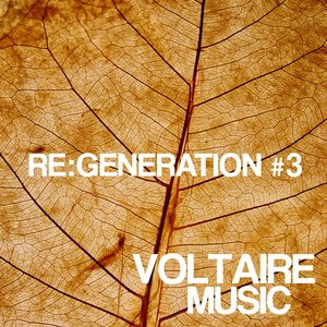 Voltaire Music Pres. Re:generation, Vol. 3