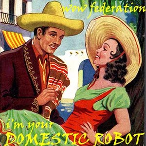 I'm Your Domestic Robot