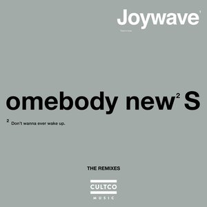 Somebody New (The Remixes)