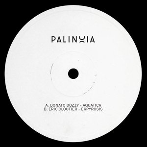 Palinoia LTD 001