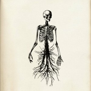 Severed Roots