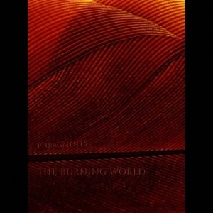 The Burning World