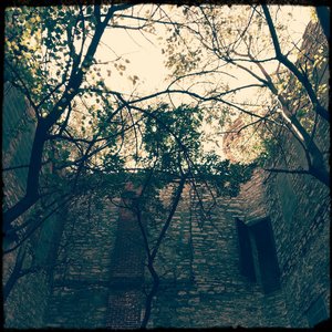 Echoes on the Walls