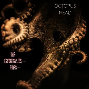 Octopus Head