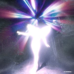 Я птица (Limedisx. Remix)