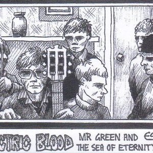 Mr Green and the Sea of Eternity