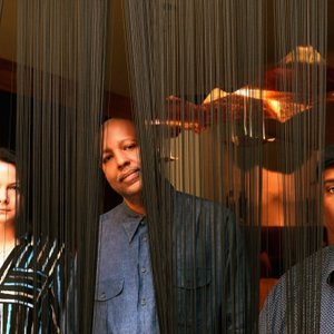 The Kris Davis Trio 的头像