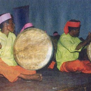 Indang Group 的头像