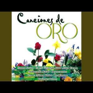 Canciones De Oro 的头像