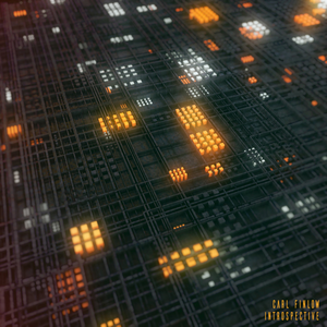 Introspective cover