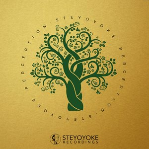 Steyoyoke Perception, Vol. 5