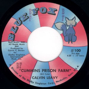 Cummins Prison Farm / Brought You to the City