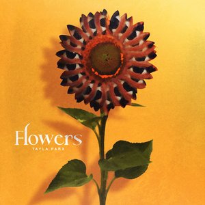 Flowers - Single