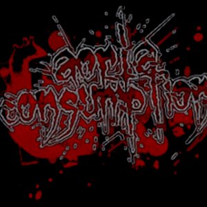 AORTA CONSUMPTION 的头像
