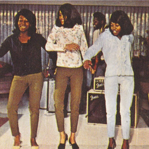 The Ikettes photo provided by Last.fm