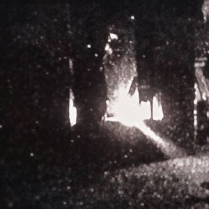 tødestriib 的头像