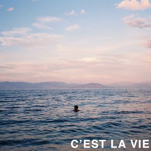 C'est La Vie - Single