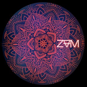 Avatar for ZVM