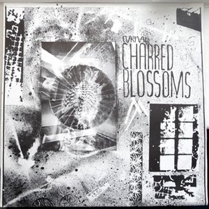 Charred Blossoms
