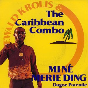 Mi Ne Meri Ding - Single