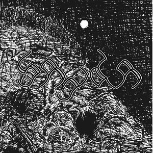 S/T