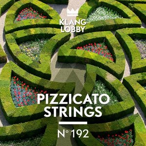 Pizzicato Strings