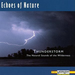 Echoes of Nature: Thunderstorm