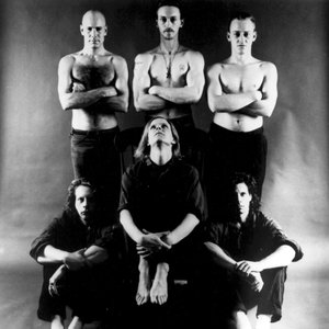 Swans için avatar