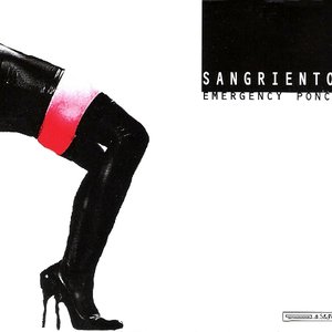 Emergency Poncho