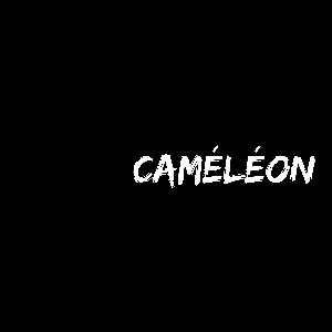 Image for 'Caméléon'