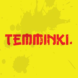 Temminki 的头像