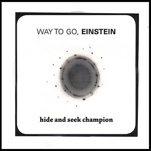 Hide and Seek Champion