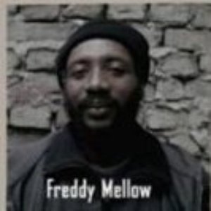 Avatar for Freddy Mellow