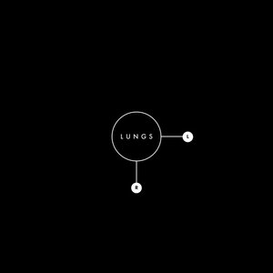 Lungs