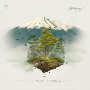 Cada hoja, un planeta
