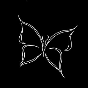 Elastic Faerie
