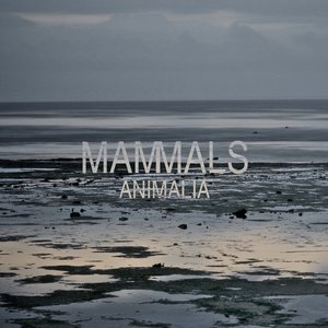 Animalia - EP