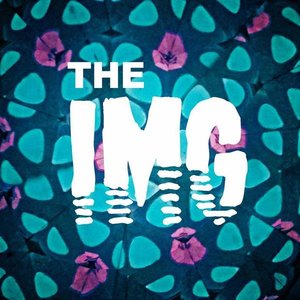 The IMG 的头像