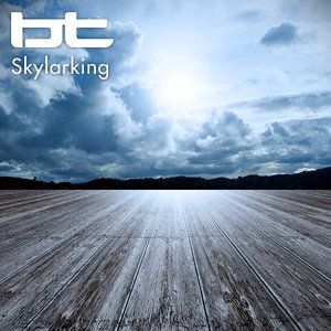 Skylarking