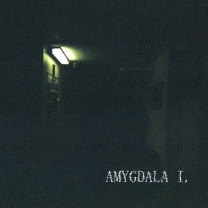 Amygdala I.