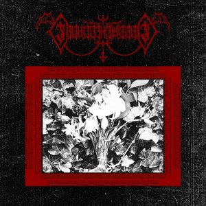 Sanguine Wounds