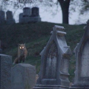 its almost halloween