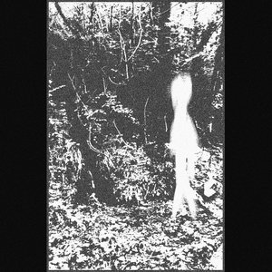 The Solitary Ghost