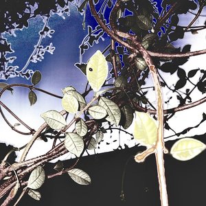 Bloodspiller - Single