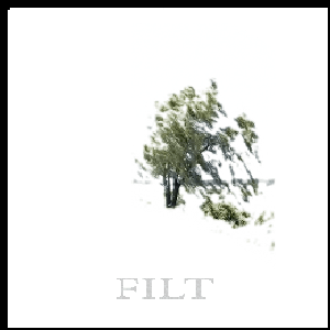 Filt