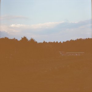 Dazed And Lake