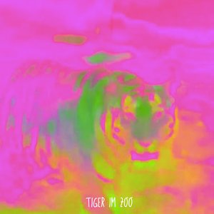 Tiger im Zoo