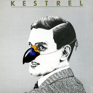 Kestrel photo provided by Last.fm