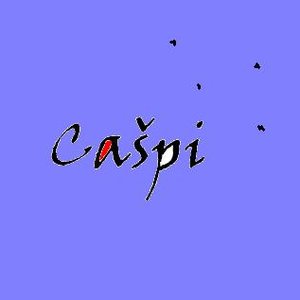 Cašpi のアバター